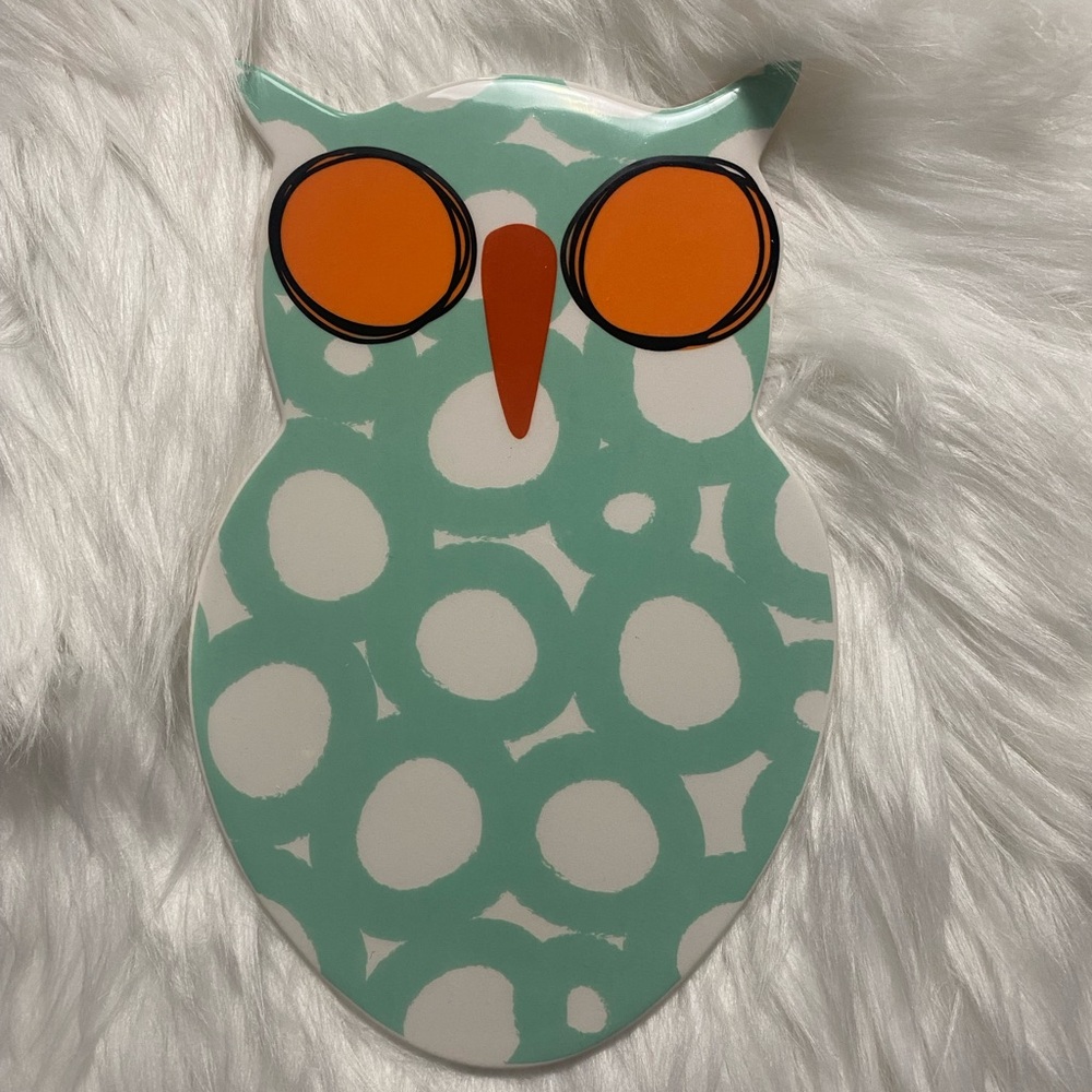 Mint Green Owl Wall Decor